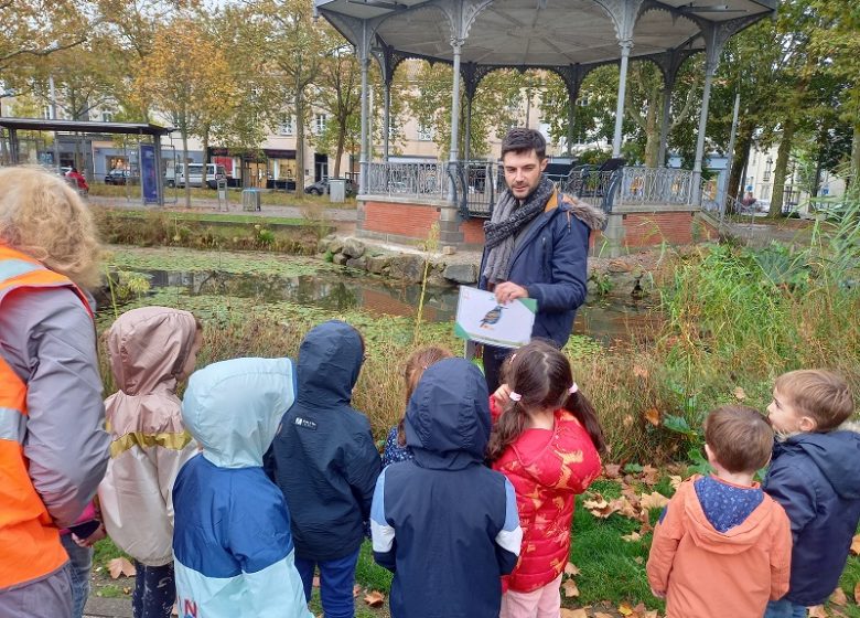 Animation nature « Petites bêtes au bord de l’Yon  « 