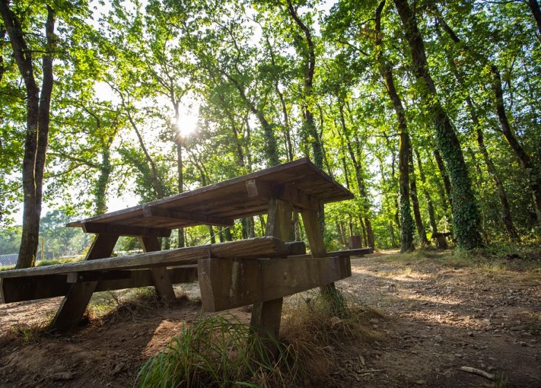 Aire de pique-nique du Bois des Girondins