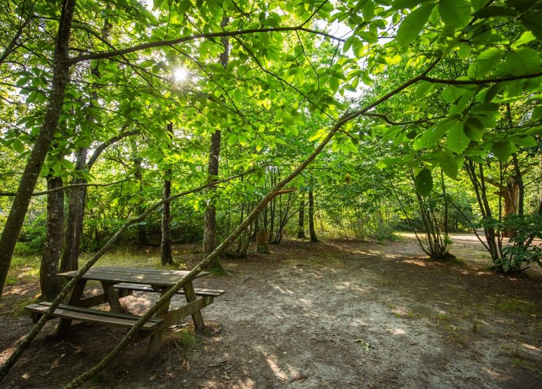 Aire de pique-nique du Bois des Girondins