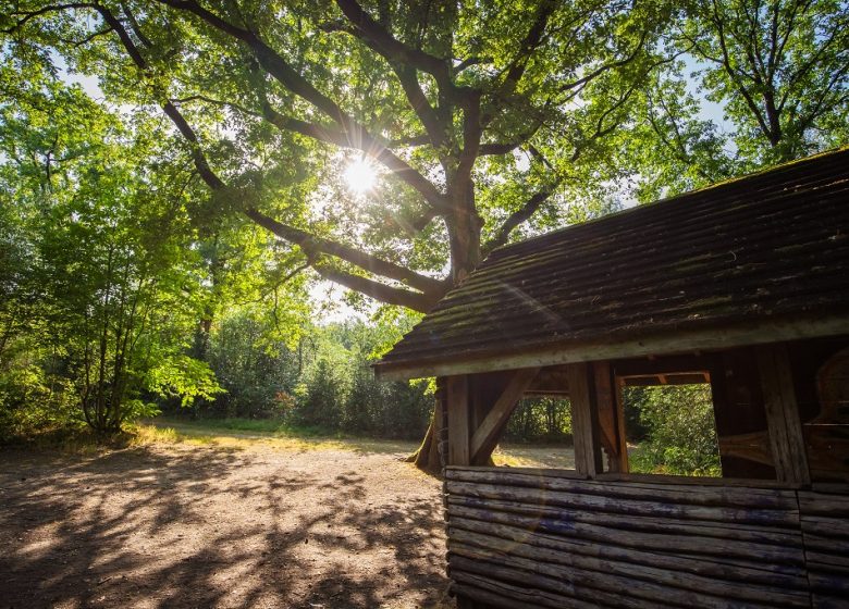 Aire de pique-nique du Bois des Girondins