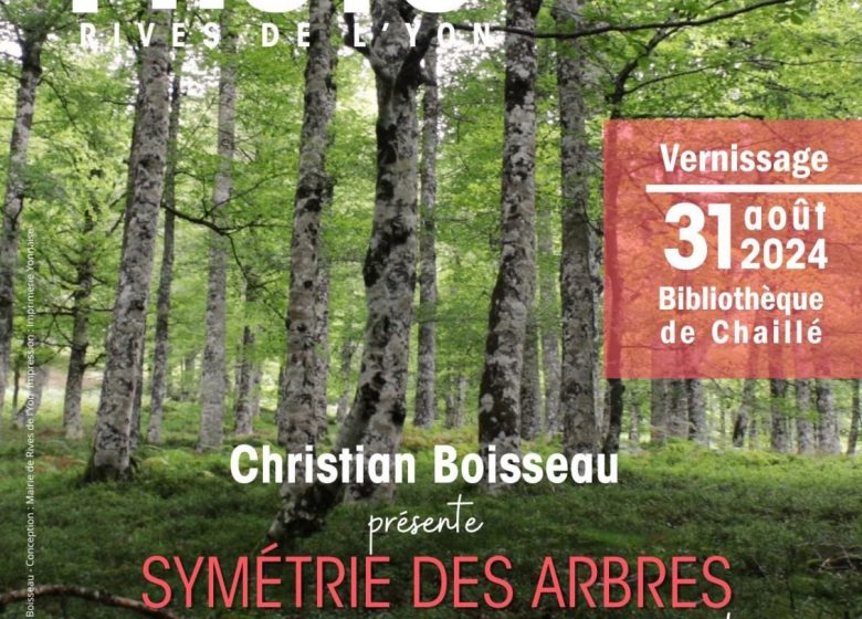 Symétrie des arbres