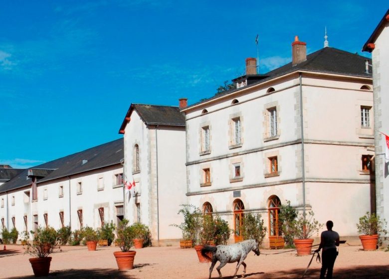 Journées Européennes du Patrimoine – Haras de la Vendée