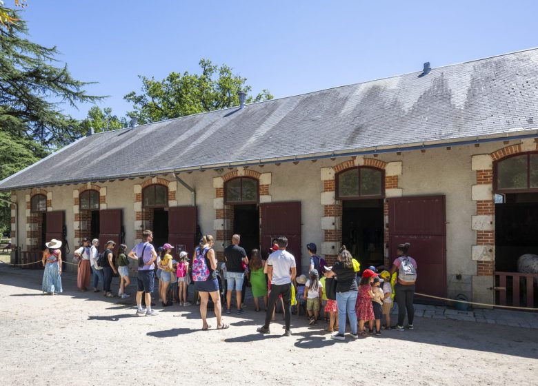 Haras de la Vendée