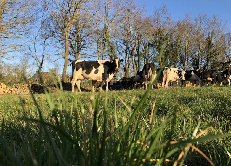 LA FERME DE CAMILLE