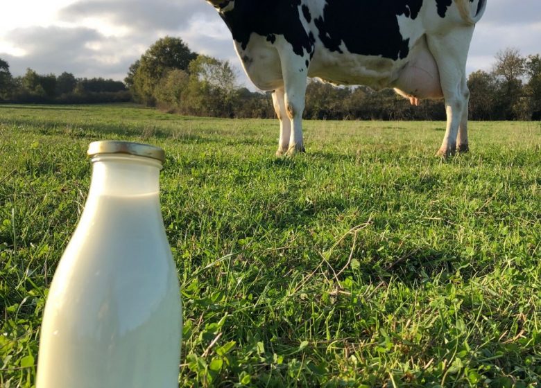 LA FERME DE CAMILLE