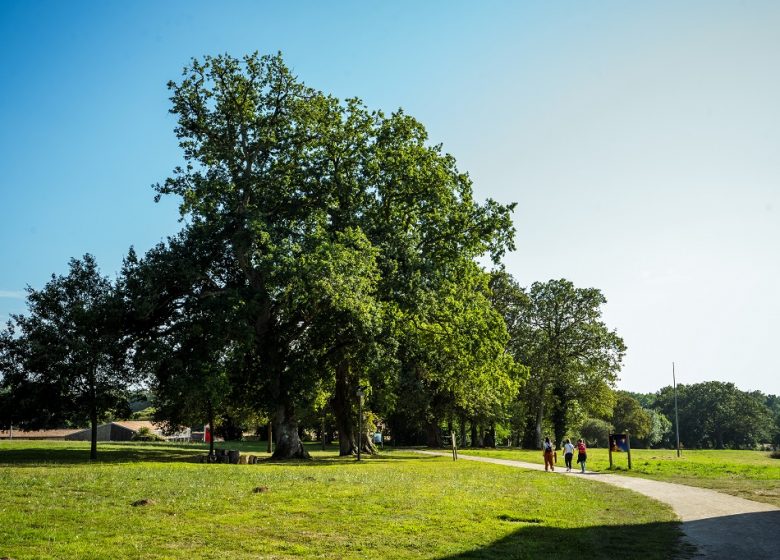 Parc de Beaupuy