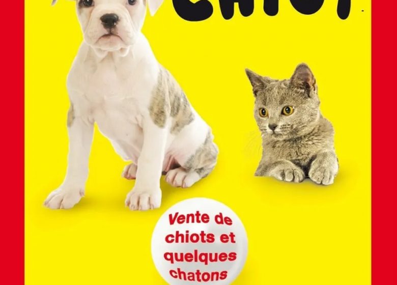 Salon du chiot