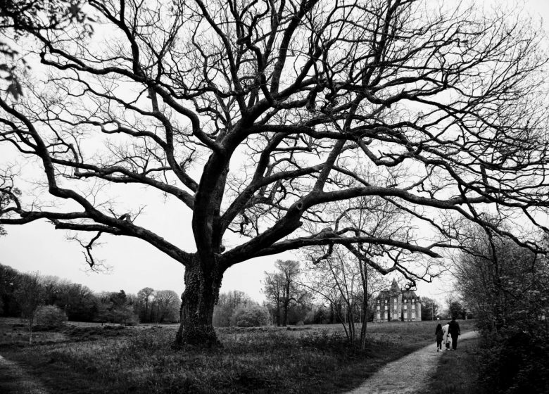 Journées Européennes du Patrimoine – Initiation à la photographie au parc de Beaupuy