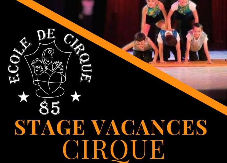 Stage de cirque