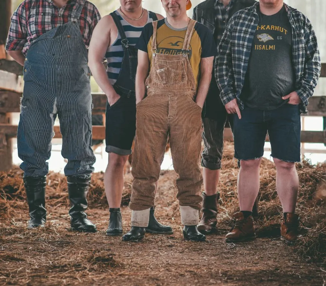 CONCERT – STEVE’N’SEAGULLS + 1ere partie